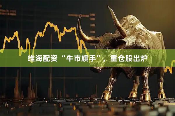 维海配资 “牛市旗手”，重仓股出炉