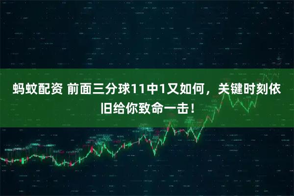 蚂蚊配资 前面三分球11中1又如何，关键时刻依旧给你致命一击！