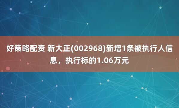 好策略配资 新大正(002968)新增1条被执行人信息，执行标的1.06万元