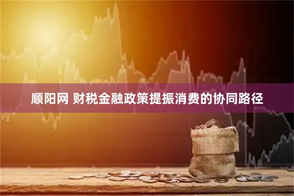 顺阳网 财税金融政策提振消费的协同路径